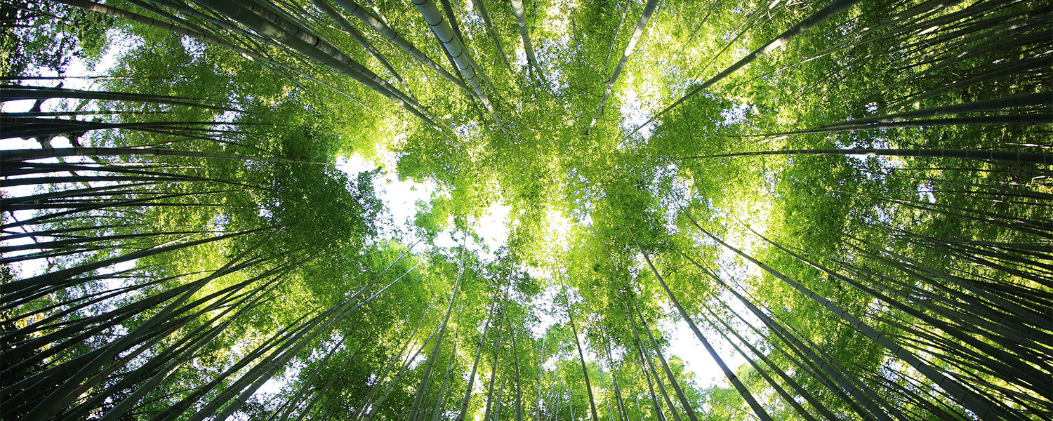 banner-engagement-ecologique