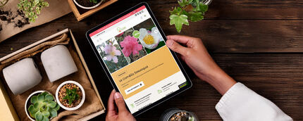 Refonte de site e-commerce et SEO pour une Pépinière